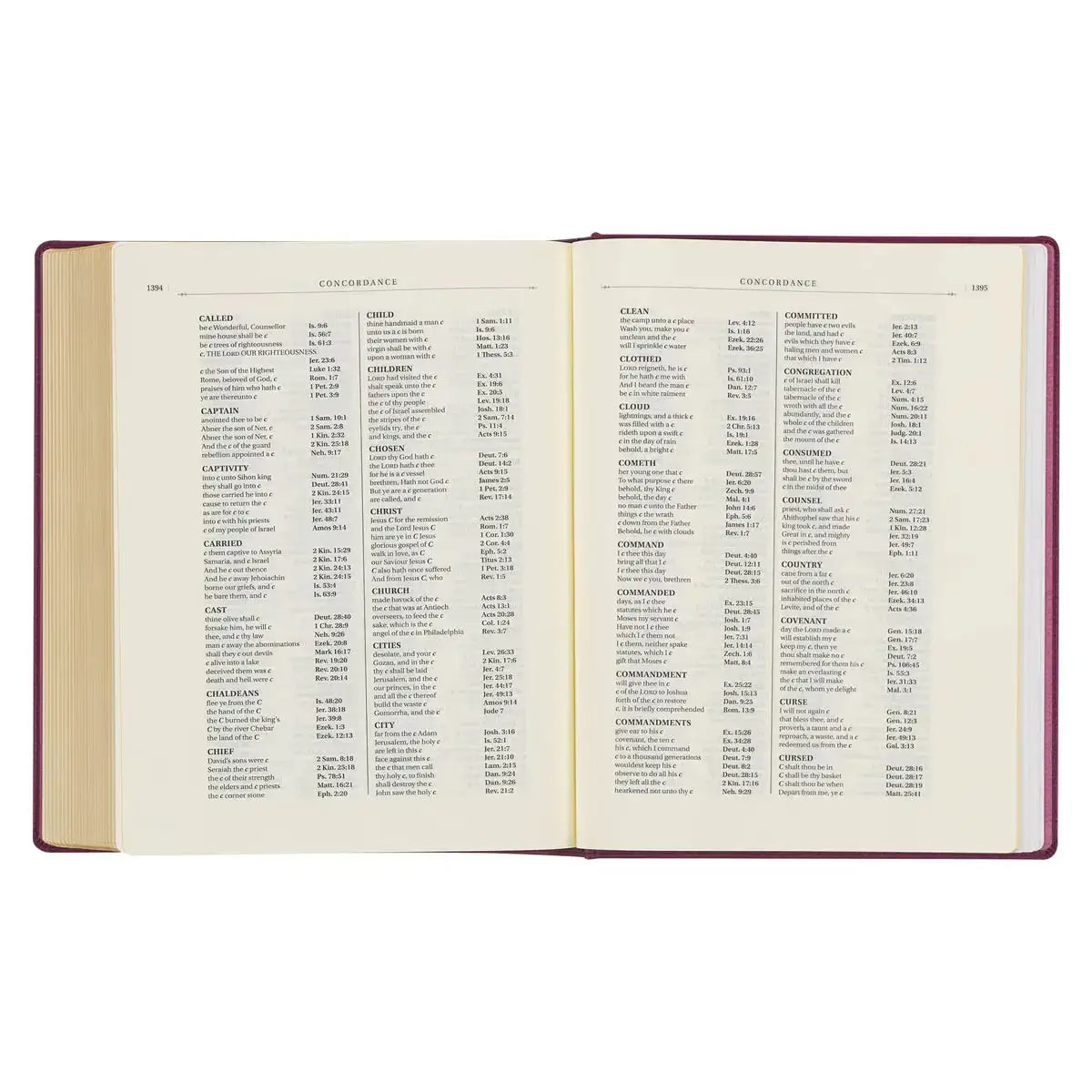 Red Plum Faux Leather Hardcover Large Print King James Version Note-taking Bible