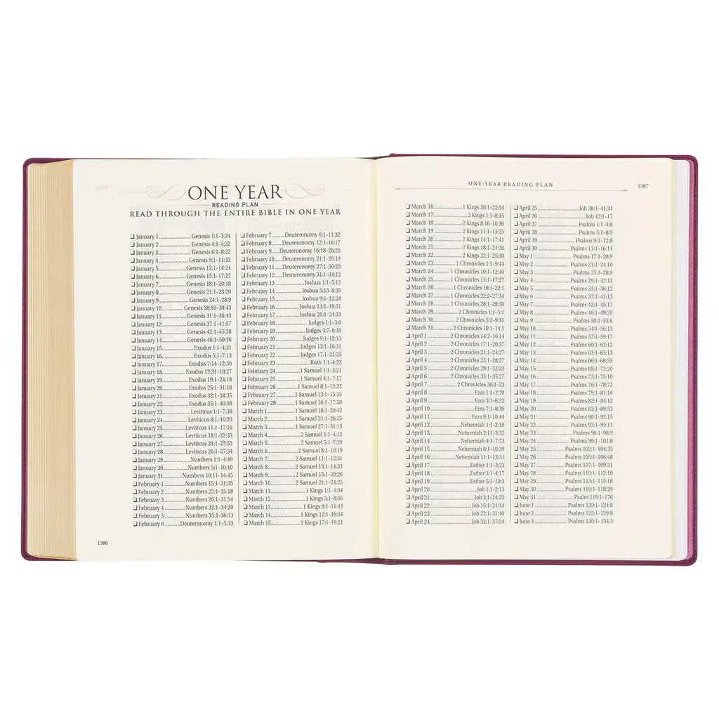 Red Plum Faux Leather Hardcover Large Print King James Version Note-taking Bible