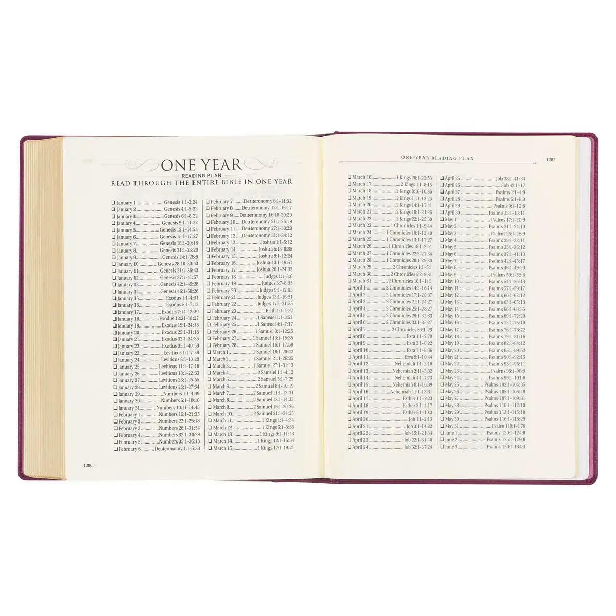 Red Plum Faux Leather Hardcover Large Print King James Version Note-taking Bible