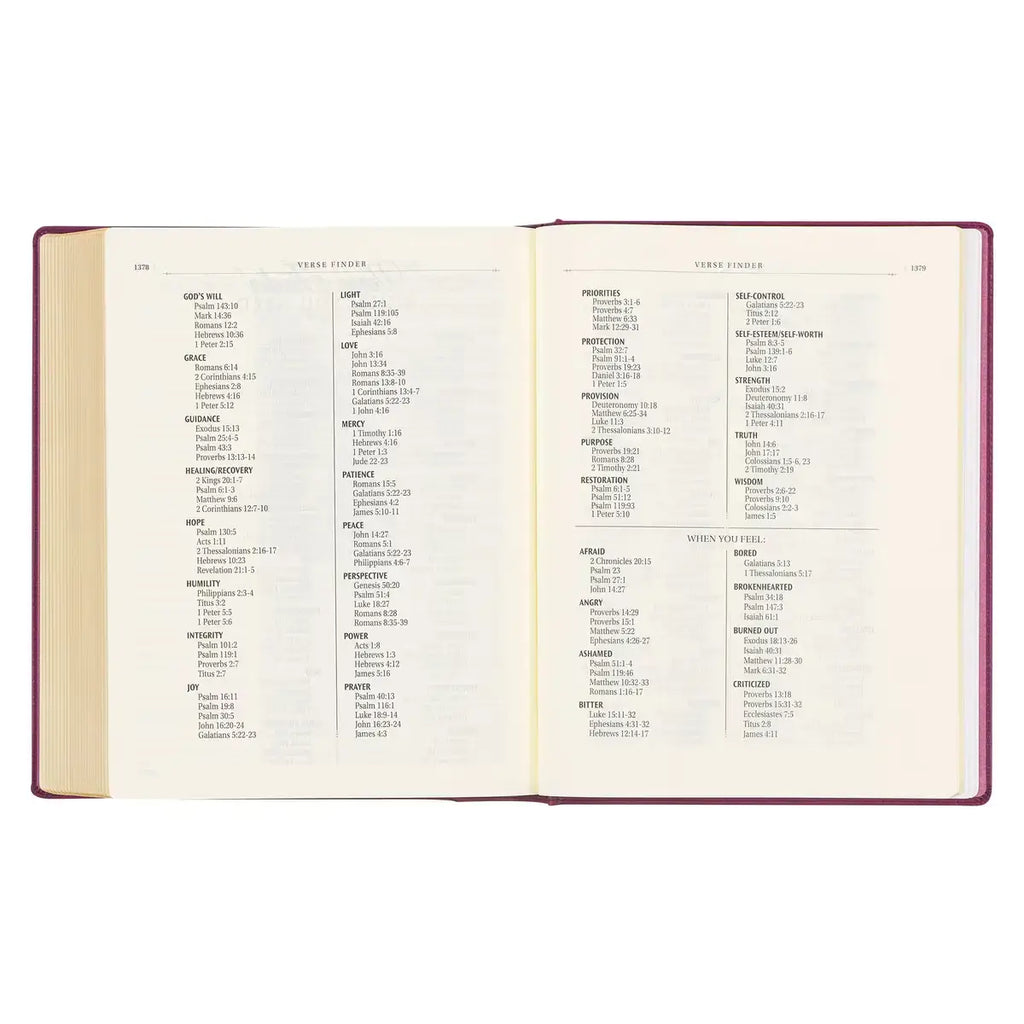Red Plum Faux Leather Hardcover Large Print King James Version Note-taking Bible
