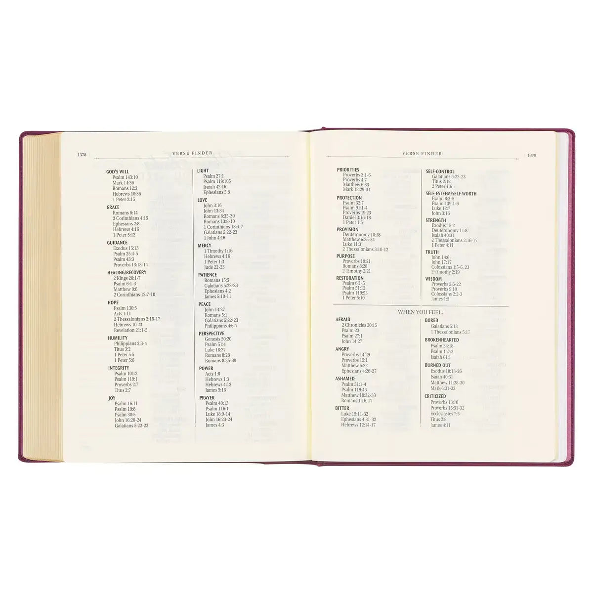 Red Plum Faux Leather Hardcover Large Print King James Version Note-taking Bible