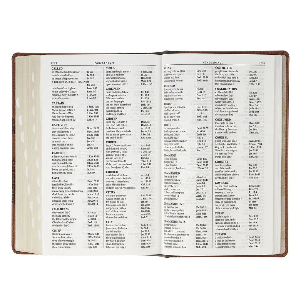 Rooted Brown Faux Leather Hardcover Standard-size Giant Print King James Version Bible with Thumb Index