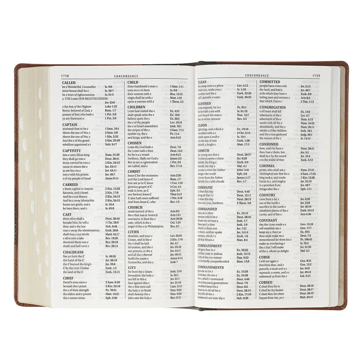 Rooted Brown Faux Leather Hardcover Standard-size Giant Print King James Version Bible with Thumb Index