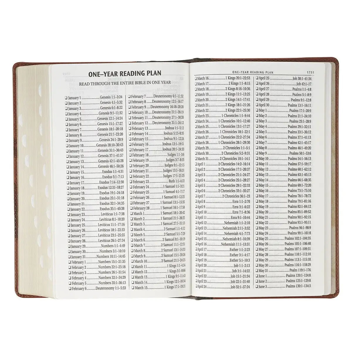 Rooted Brown Faux Leather Hardcover Standard-size Giant Print King James Version Bible with Thumb Index