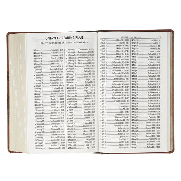 Rooted Brown Faux Leather Hardcover Standard-size Giant Print King James Version Bible with Thumb Index