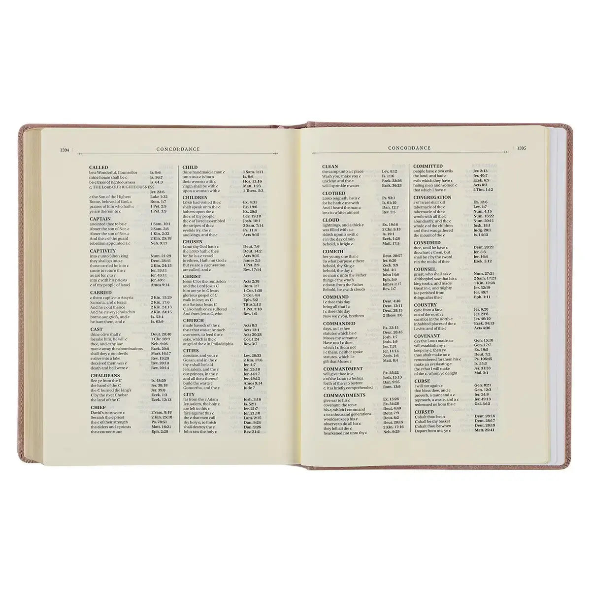 Rose Gold Faux Leather Hardcover Large Print KJV Note-taking Bible