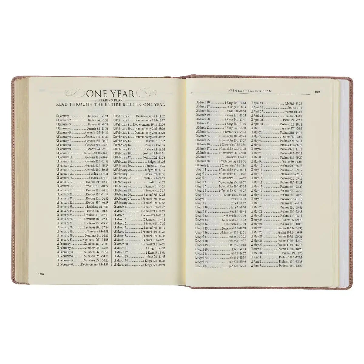 Rose Gold Faux Leather Hardcover Large Print KJV Note-taking Bible