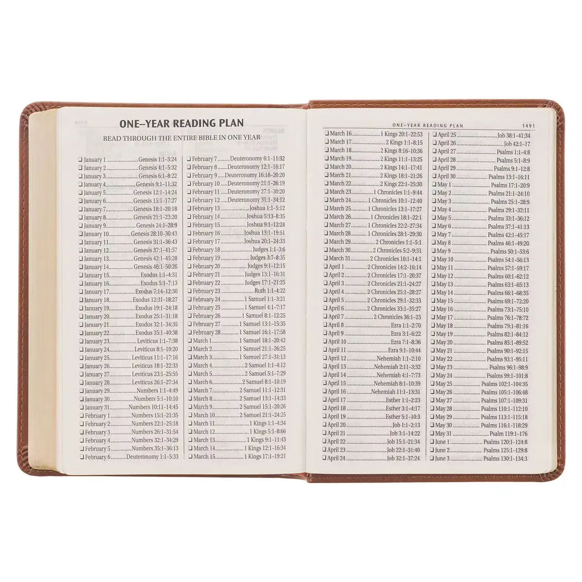 Saddle Tan Faux Leather Large Print Compact King James Version Bible