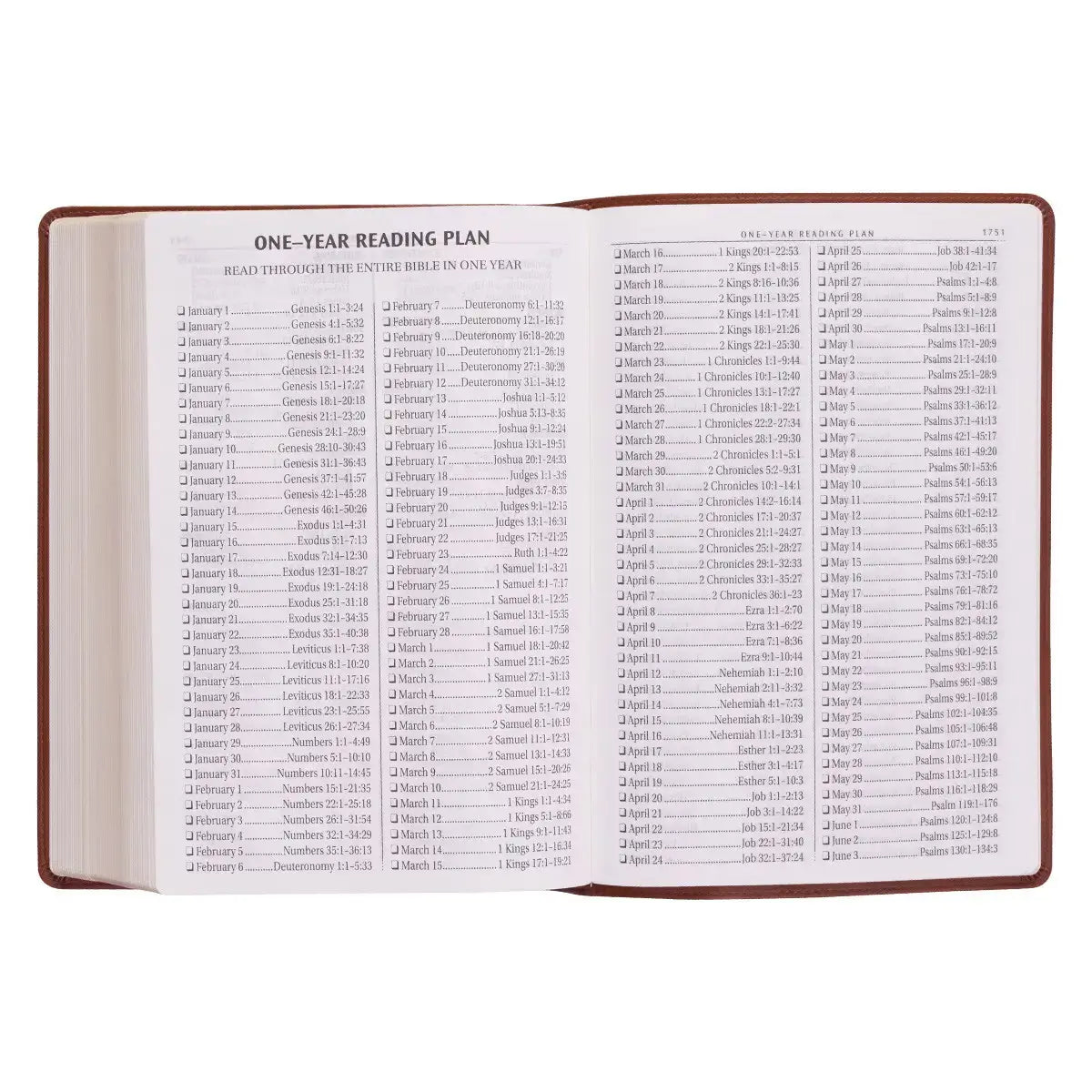 Saddle Tan Faux Leather Super Giant Print King James Version Bible