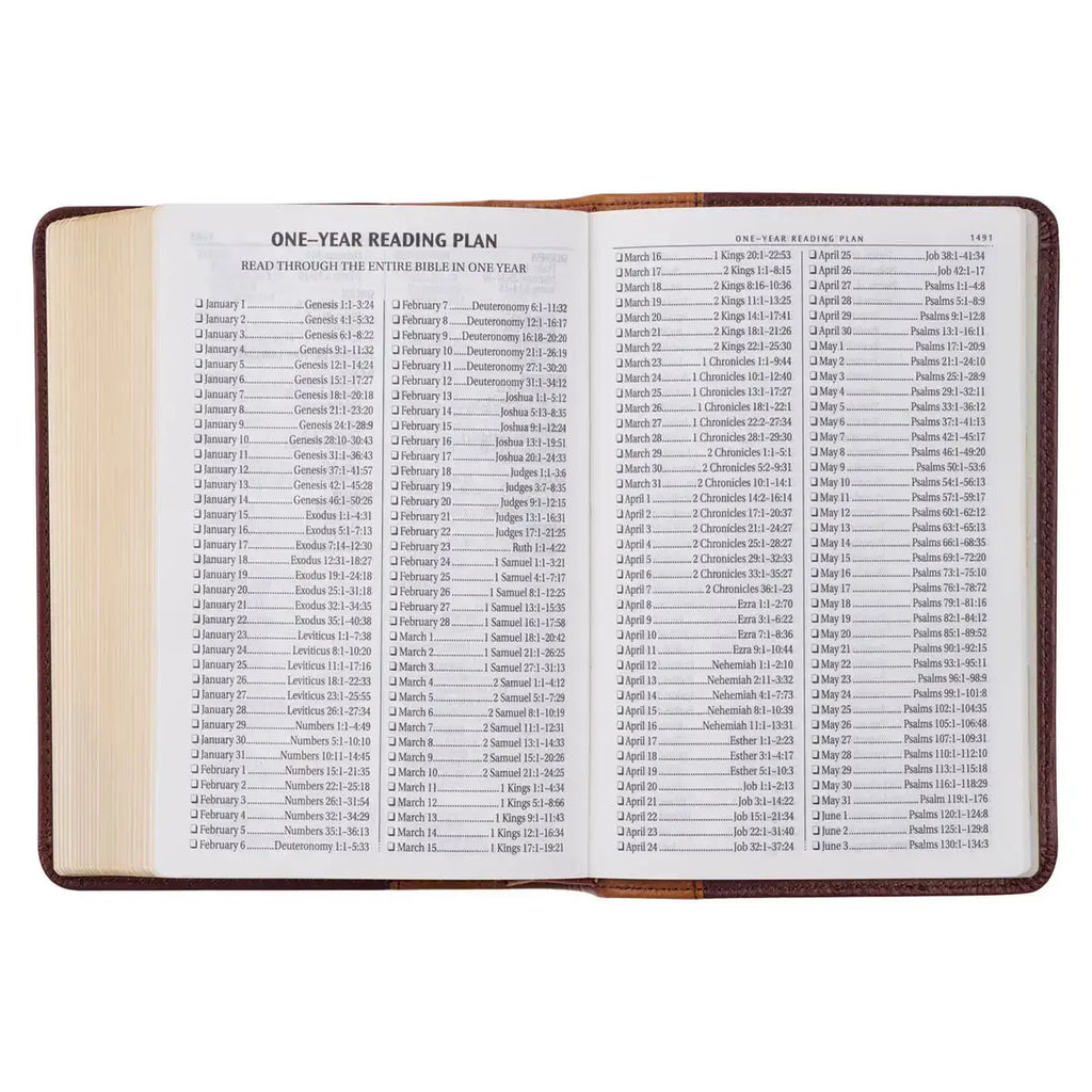 Saddle Tan & Butterscotch Large Print Compact KJV Bible