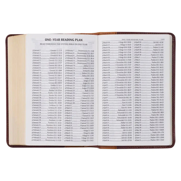 Saddle Tan & Butterscotch Large Print Compact KJV Bible