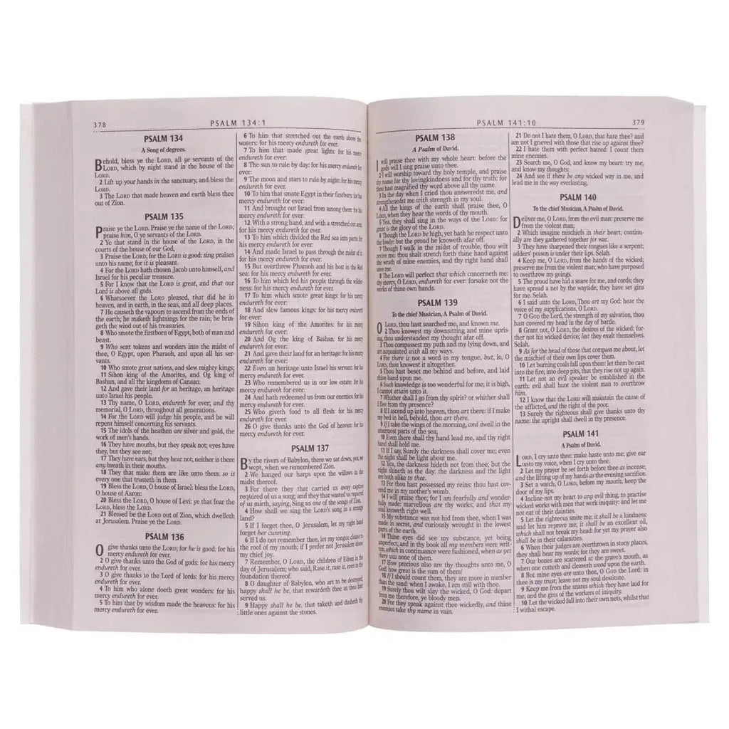 Silver-Gray Damask Softcover King James Version Outreach Bible