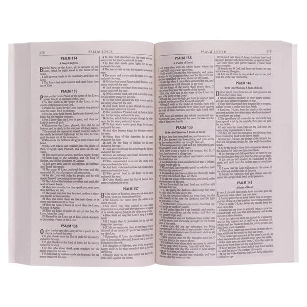Silver-Gray Damask Softcover King James Version Outreach Bible