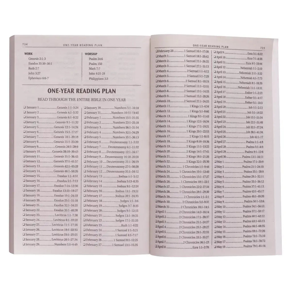 Silver-Gray Damask Softcover King James Version Outreach Bible