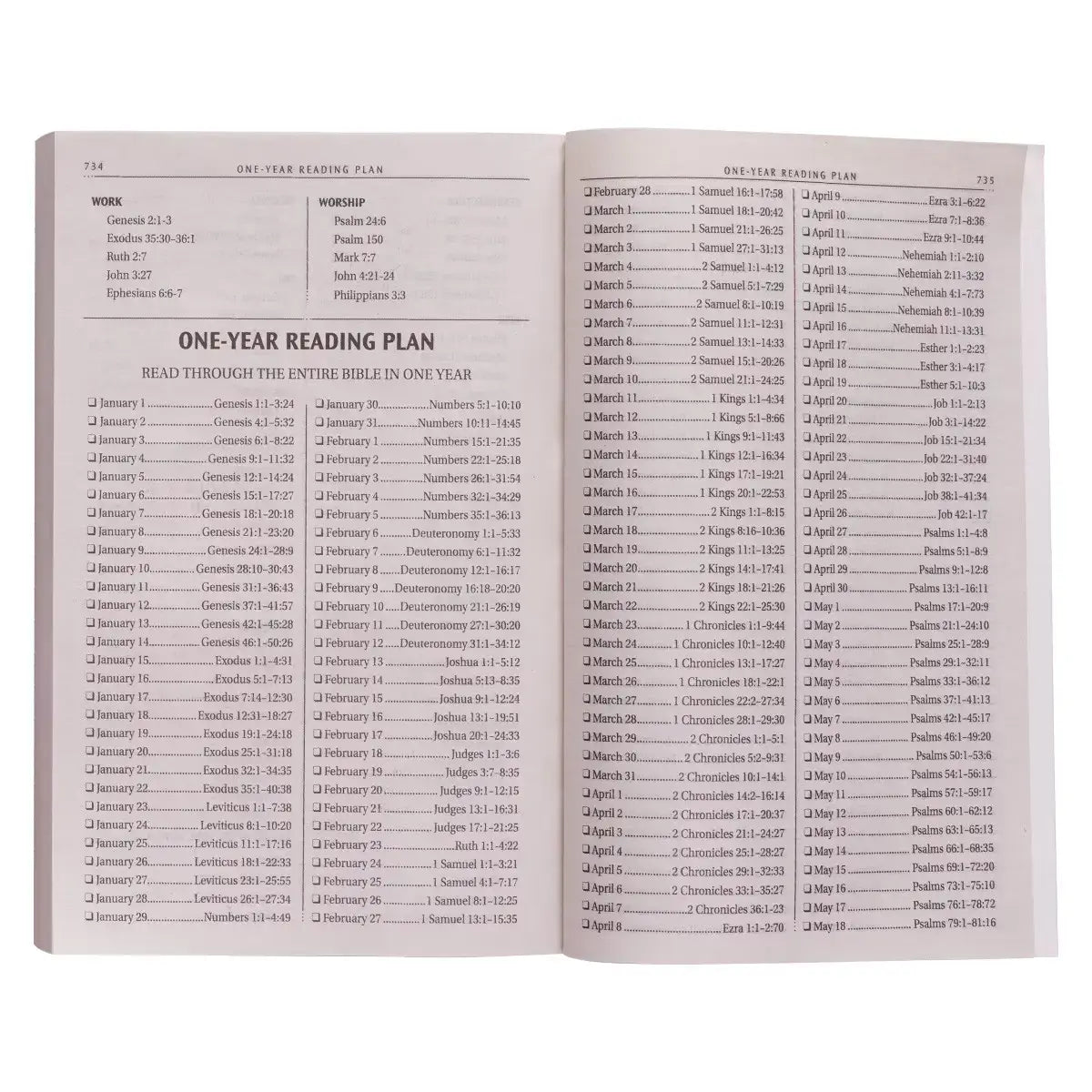 Silver-Gray Damask Softcover King James Version Outreach Bible