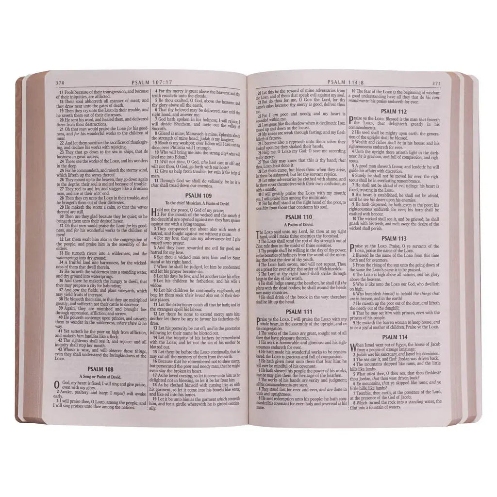 Tan Faux Leather King James Version Gift & Award Bible