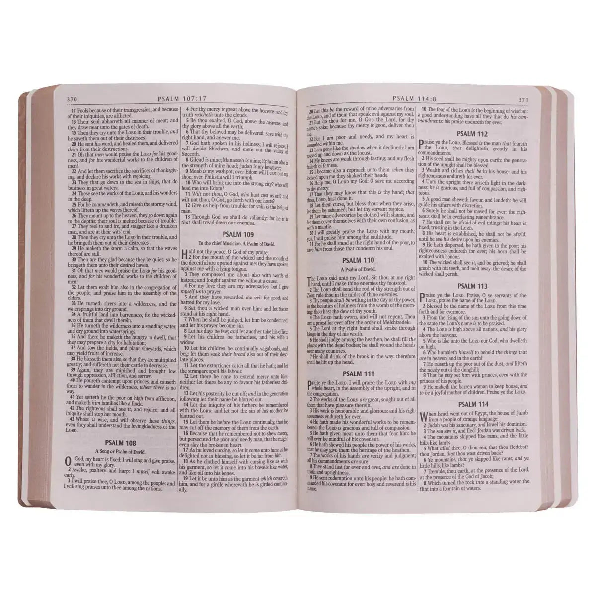 Tan Faux Leather King James Version Gift & Award Bible