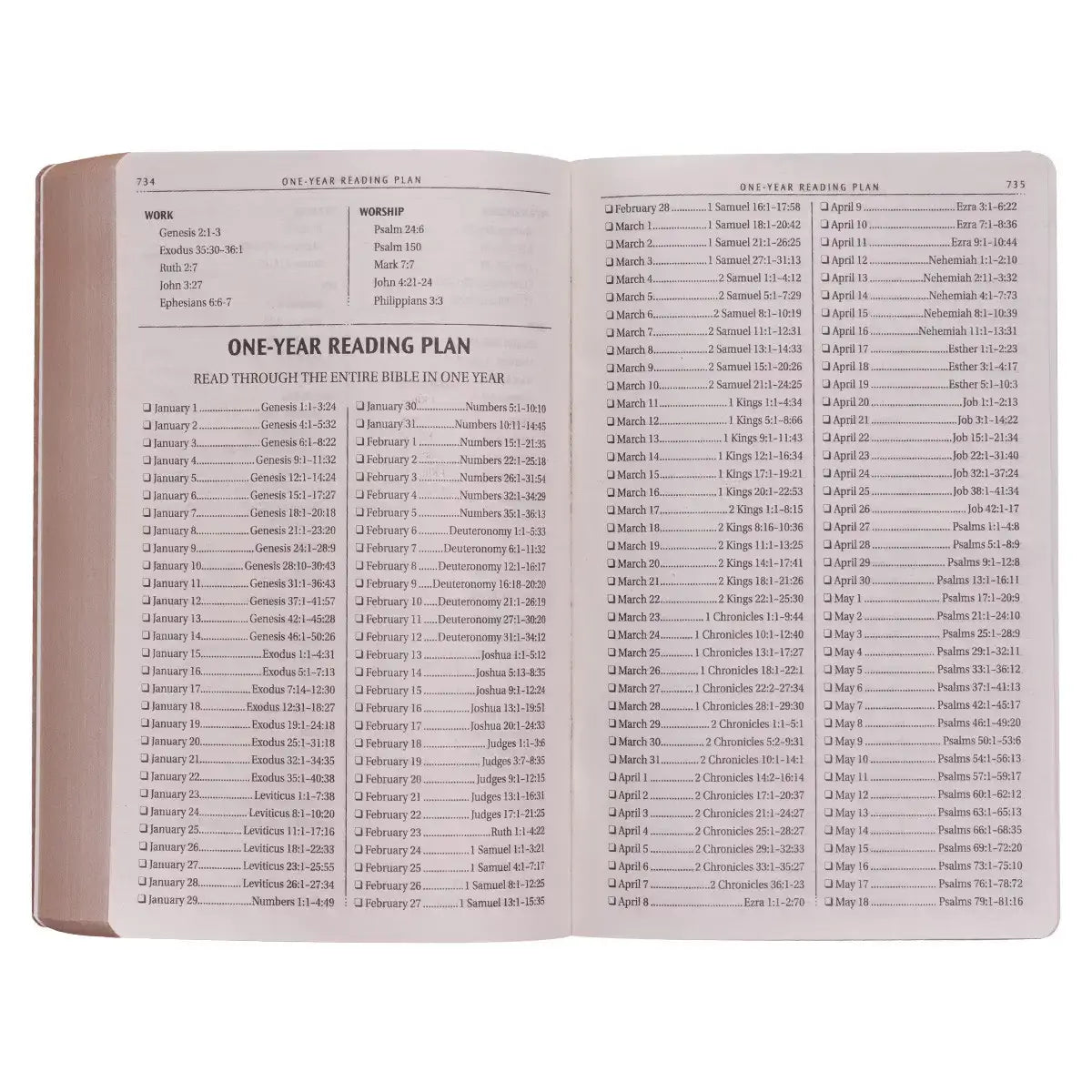 Tan Faux Leather King James Version Gift & Award Bible