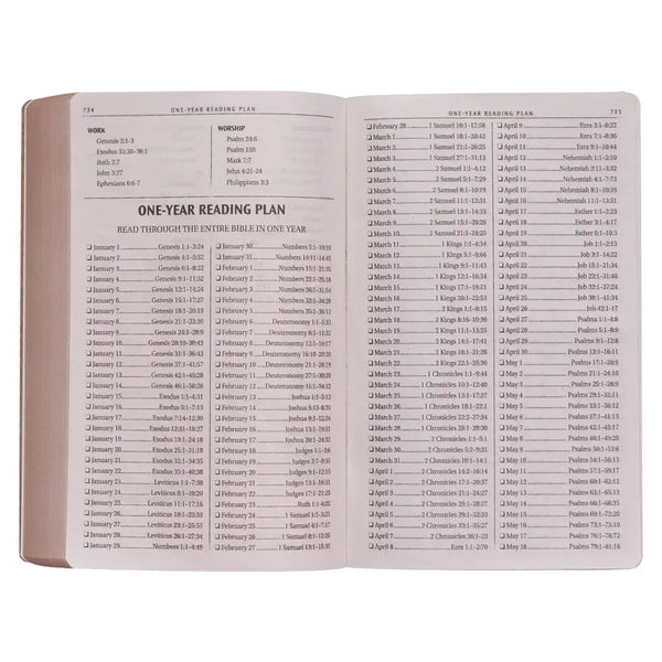 Tan Faux Leather King James Version Gift & Award Bible
