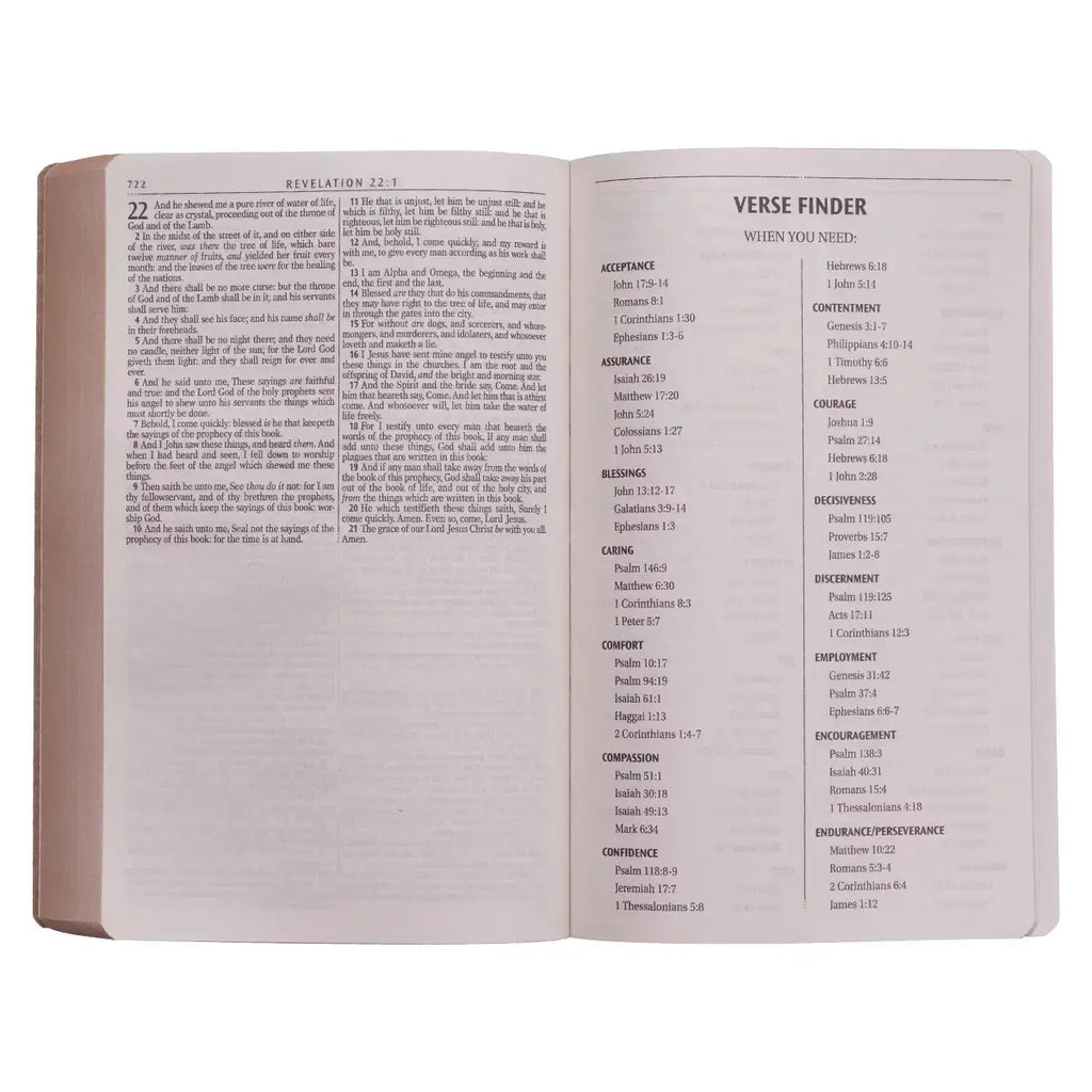 Tan Faux Leather King James Version Gift & Award Bible