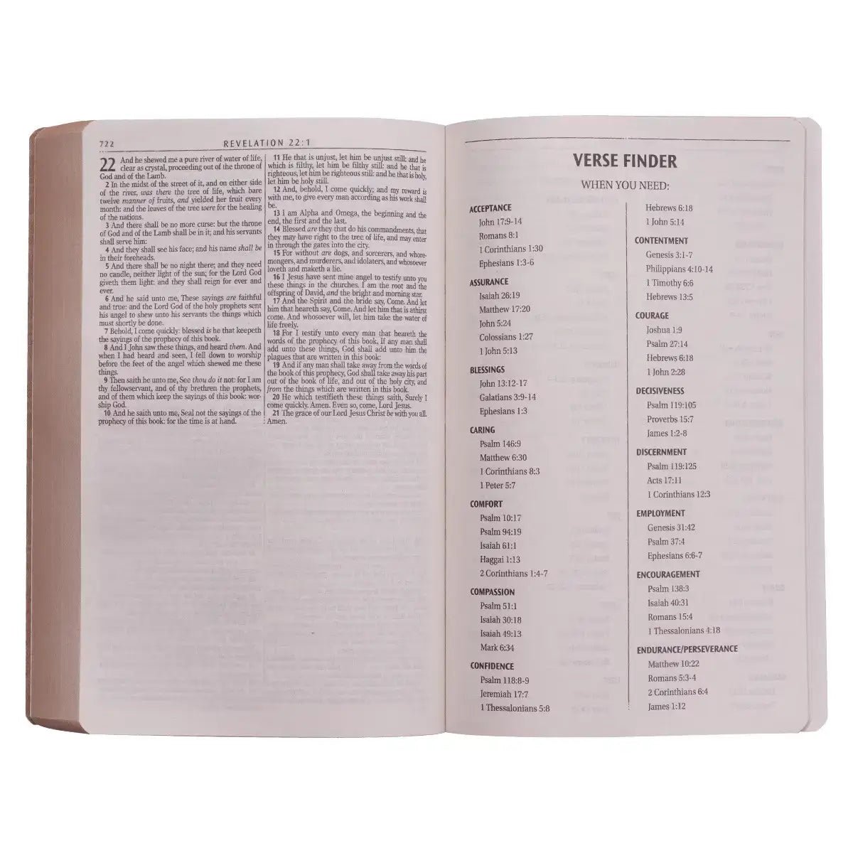 Tan Faux Leather King James Version Gift & Award Bible