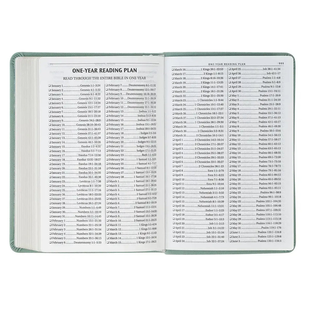 Teal Bloom Faux Leather Compact King James Version Bible
