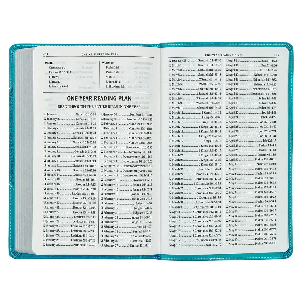 Teal Butterfly Faux Leather King James Version Gift Edition Bible