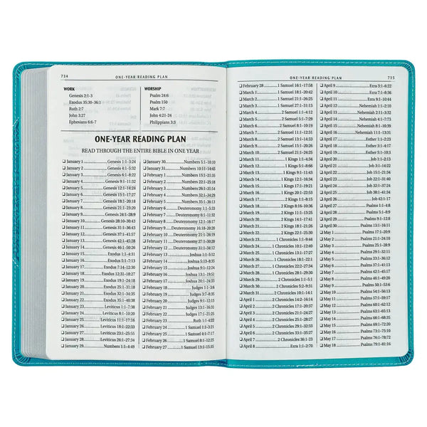 Teal Butterfly Faux Leather King James Version Gift Edition Bible