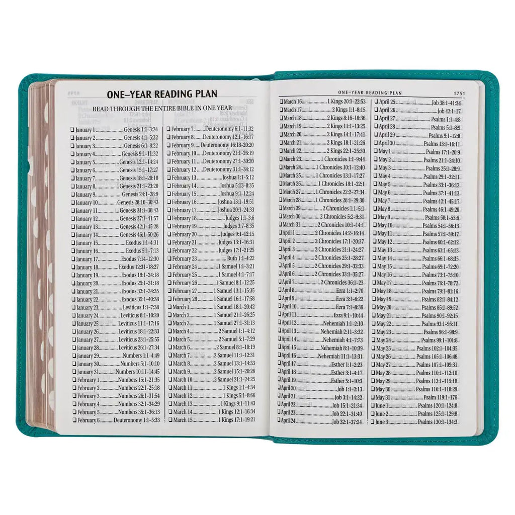 Teal Faux Leather Giant Print Standard-Size King James Version Bible with Thumb Index