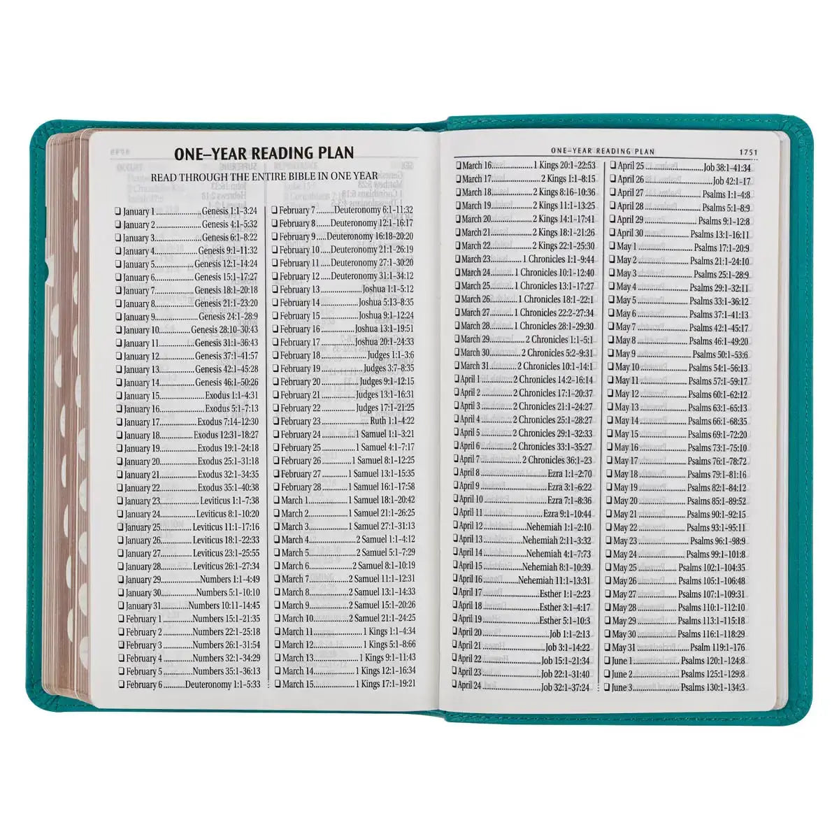 Teal Faux Leather Giant Print Standard-Size King James Version Bible with Thumb Index