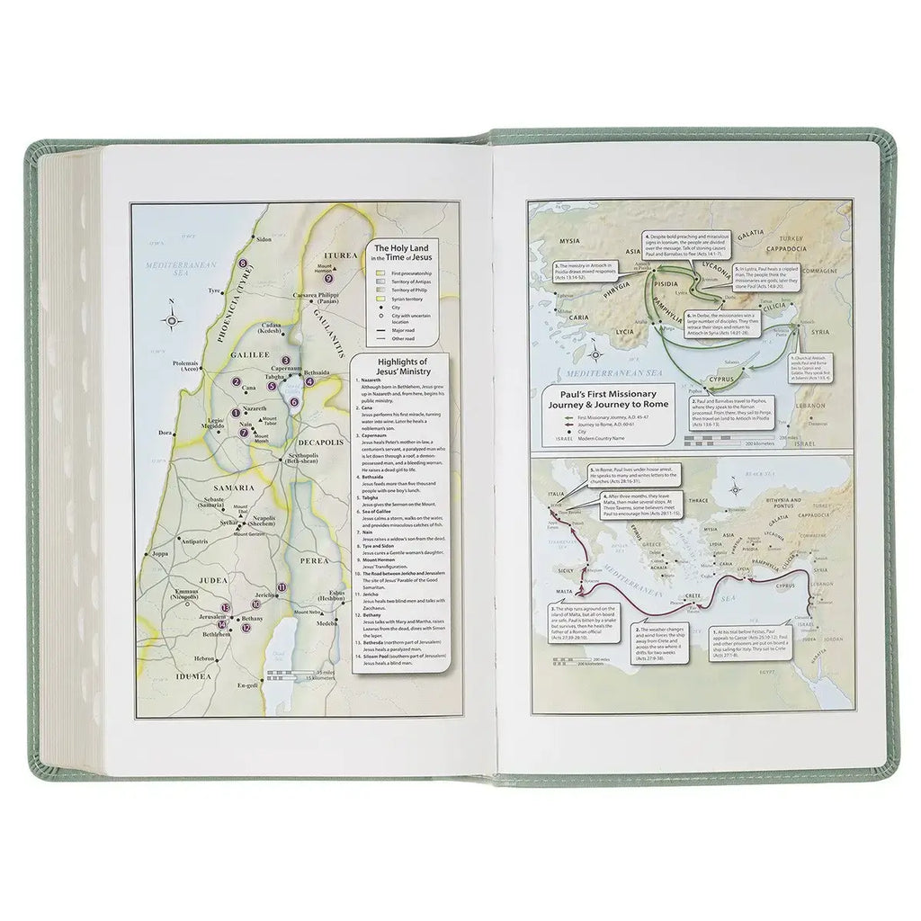 Teal Floral Faux Leather Giant Print Standard-size King James Version Bible with Thumb Index
