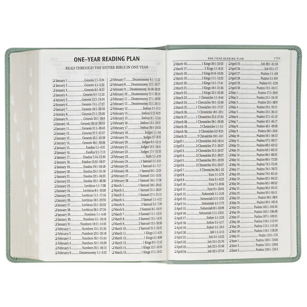 Teal Floral Faux Leather Giant Print Standard-size King James Version Bible with Thumb Index