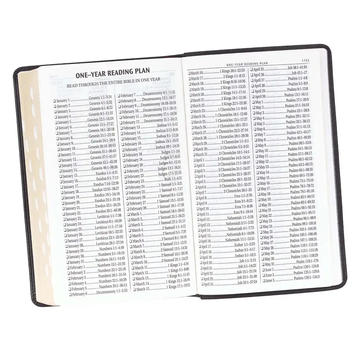 Two-Tone Black Faux Leather Giant Print Standard-Size King James Version Bible with Thumb Index