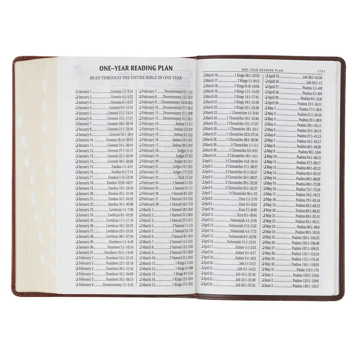 Two-Tone Brown Faux Leather Giant Print Standard-size King James Version Bible with Thumb Index