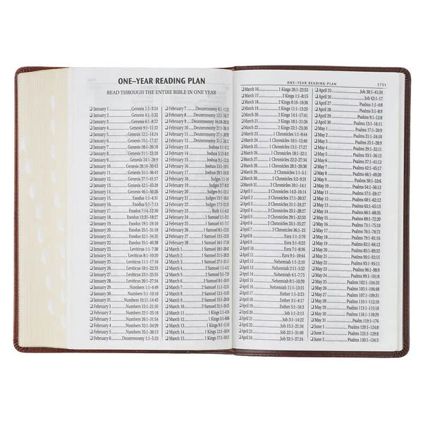 Two-Tone Brown Faux Leather Giant Print Standard-size King James Version Bible with Thumb Index