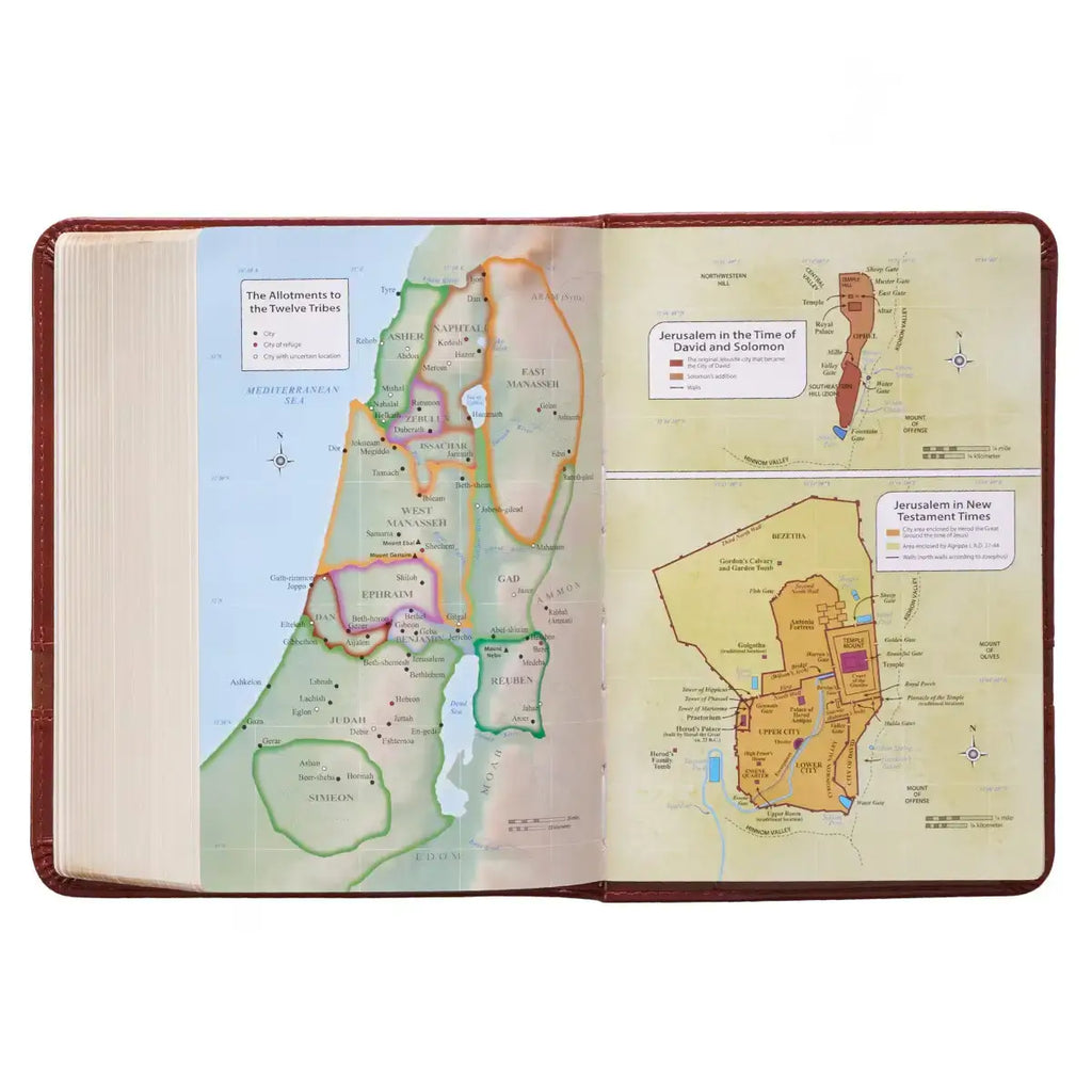 Two-tone Brown Faux Leather Large Print Compact King James Version Bible