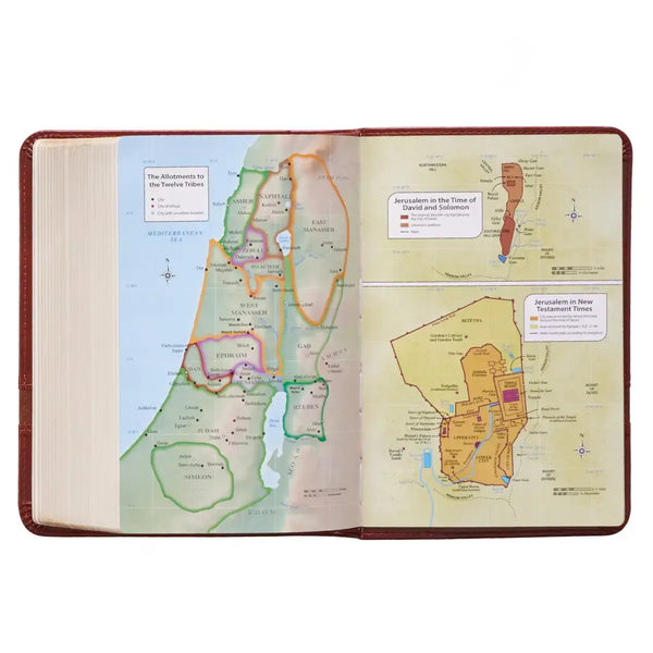 Two-tone Brown Faux Leather Large Print Compact King James Version Bible