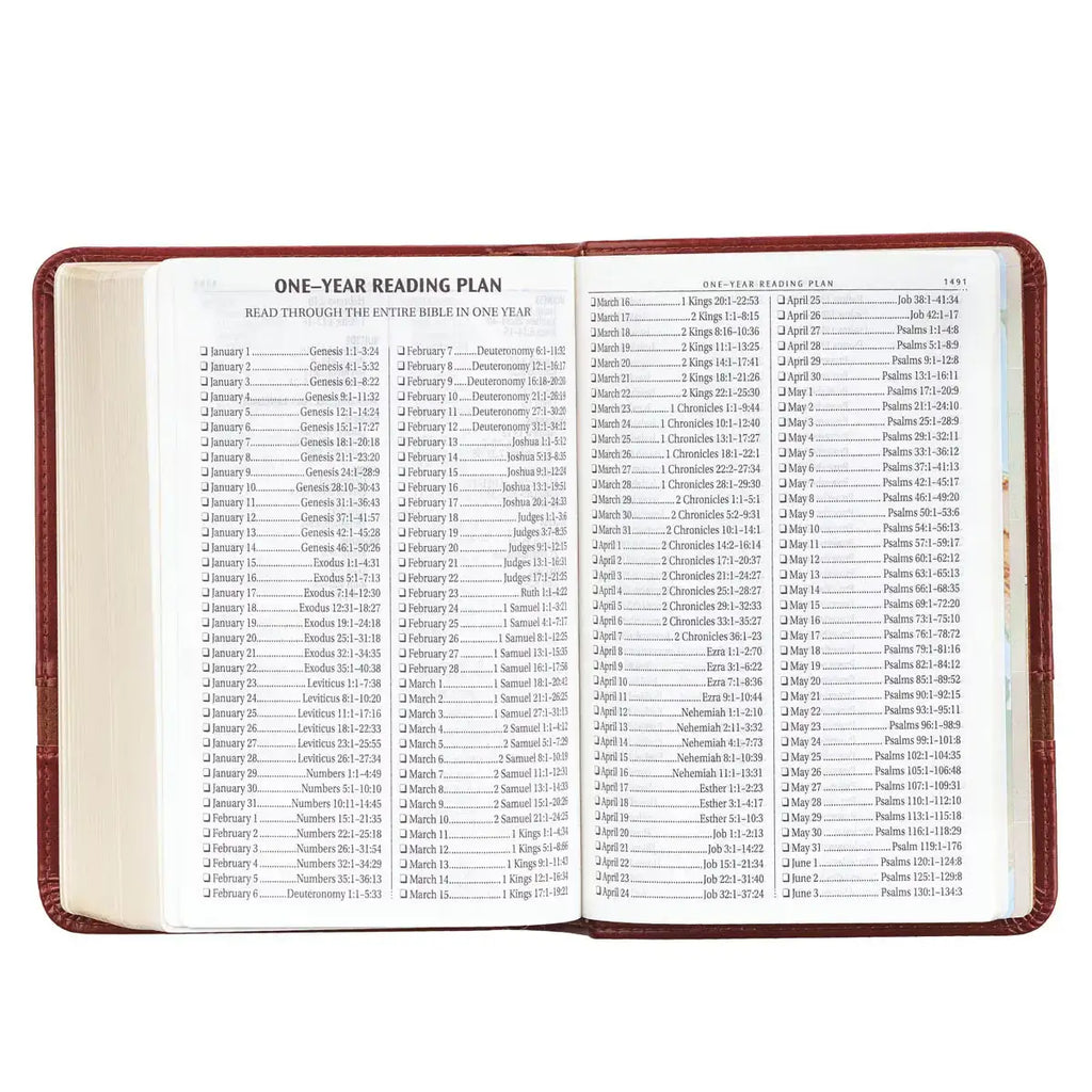 Two-tone Brown Faux Leather Large Print Compact King James Version Bible