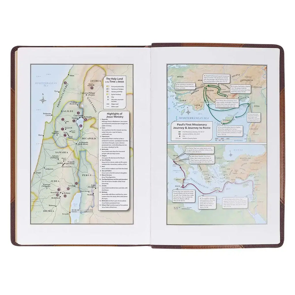 Two-tone Brown Faux Leather Large Print Thinline King James Version Bible