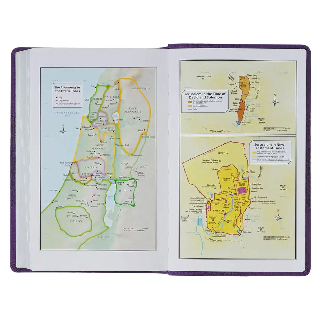 Two-tone Purple Floral Faux Leather Giant Print Standard-size King James Version Bible with Thumb Index