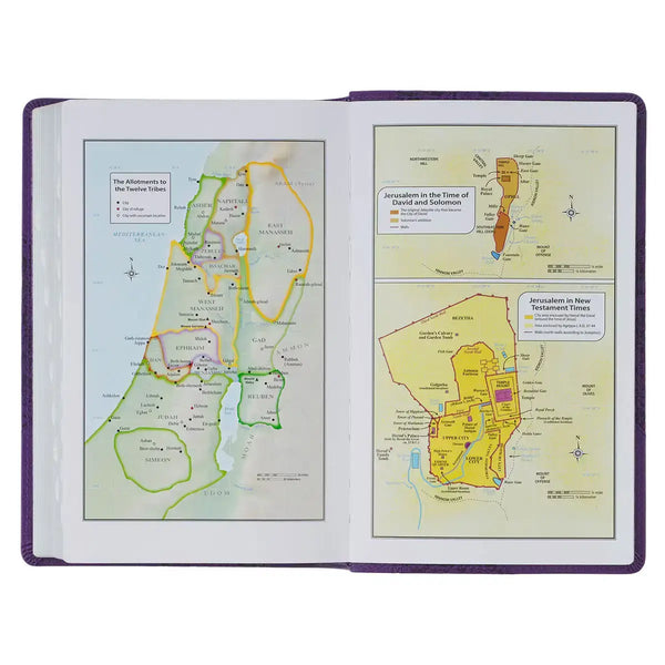 Two-tone Purple Floral Faux Leather Giant Print Standard-size King James Version Bible with Thumb Index