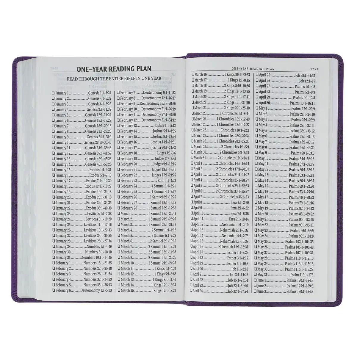 Two-tone Purple Floral Faux Leather Giant Print Standard-size King James Version Bible with Thumb Index