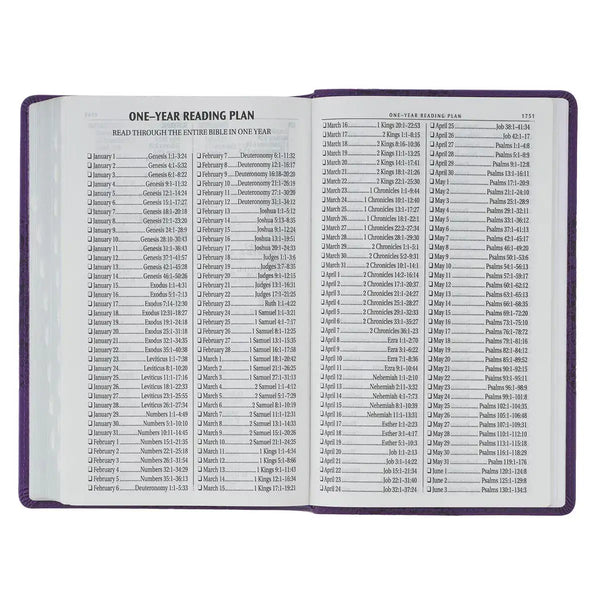 Two-tone Purple Floral Faux Leather Giant Print Standard-size King James Version Bible with Thumb Index
