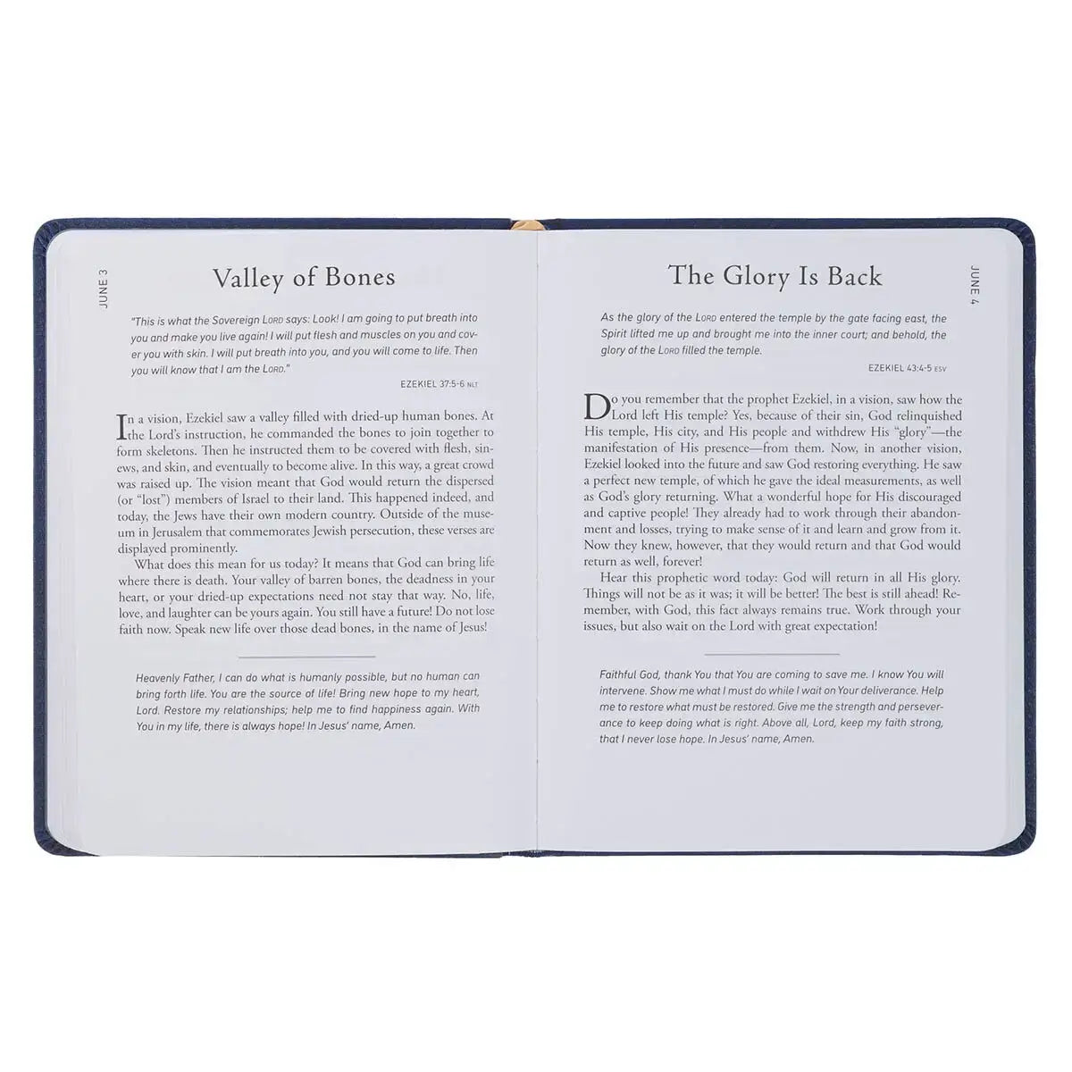 Walk Through God's Word Navy Faux Leather Devotional