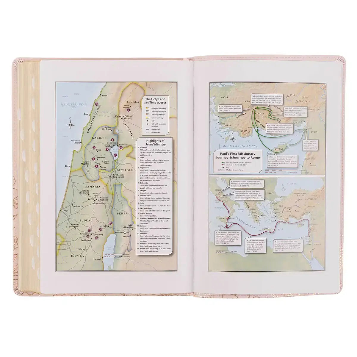Whisper Pink Floral Faux Leather Large Print Thinline King James with Thumb Index