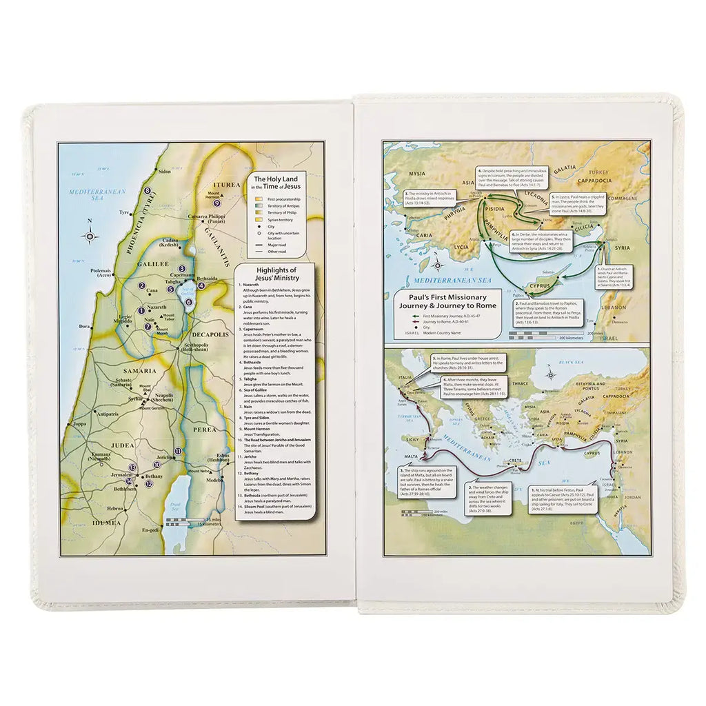 White Faux Leather King James Version Deluxe Gift Bible with Thumb Index